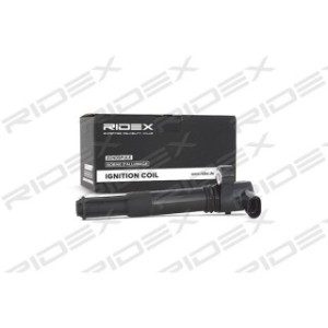 Ignition Coil - RIDEX 689C0009