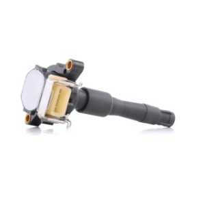 Ignition Coil - RIDEX 689C0010