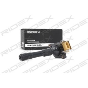 Ignition Coil - RIDEX 689C0010