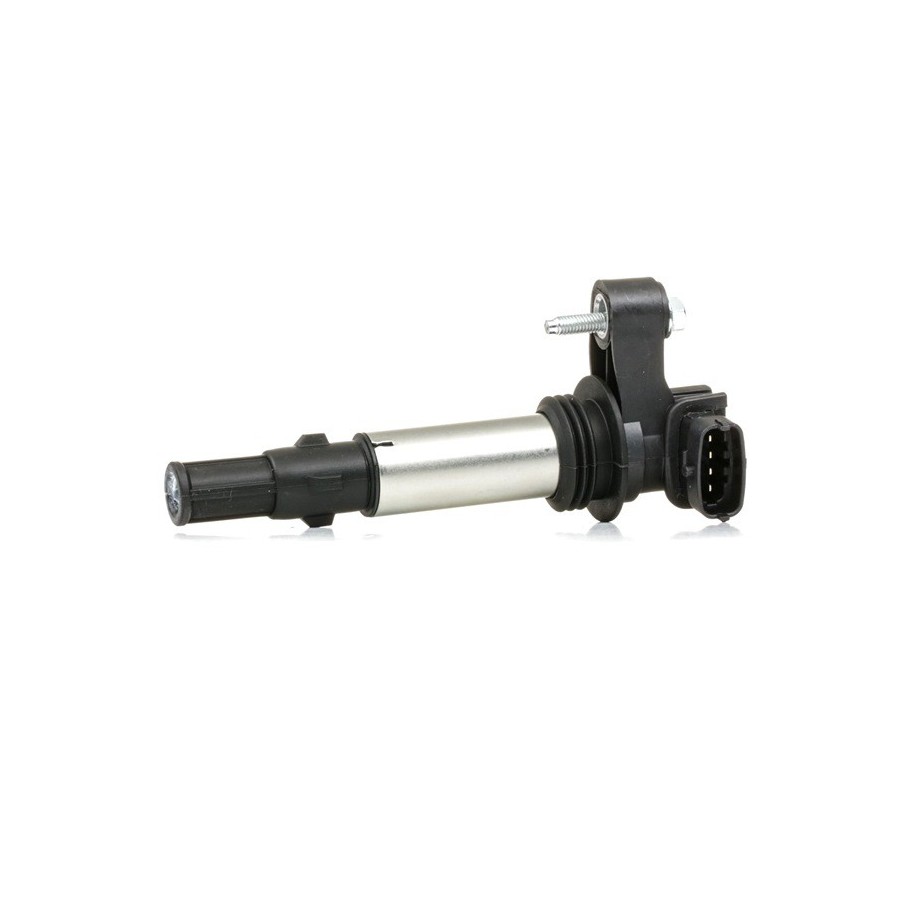 Ignition Coil - RIDEX 689C0018