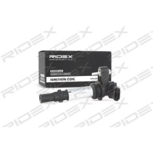 Ignition Coil - RIDEX 689C0018
