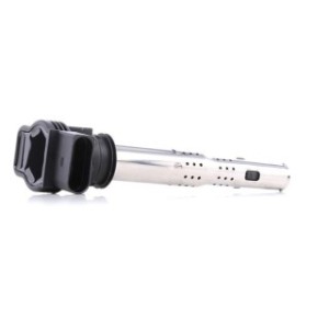 Ignition Coil - RIDEX 689C0019