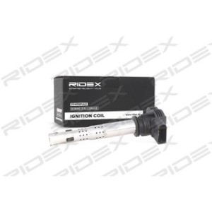 Ignition Coil - RIDEX 689C0019
