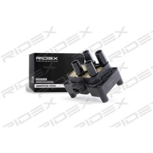 Ignition Coil - RIDEX 689C0022