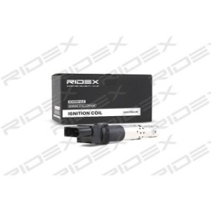 Ignition Coil - RIDEX 689C0023