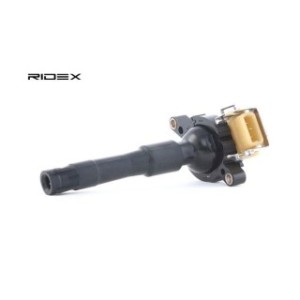 Ignition Coil - RIDEX 689C0024