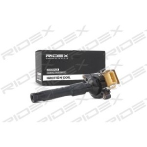 Ignition Coil - RIDEX 689C0024