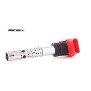 Ignition Coil - RIDEX 689C0025