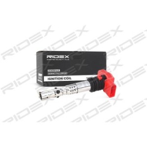 Ignition Coil - RIDEX 689C0025
