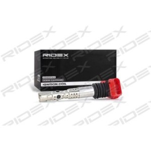 Ignition Coil - RIDEX 689C0025