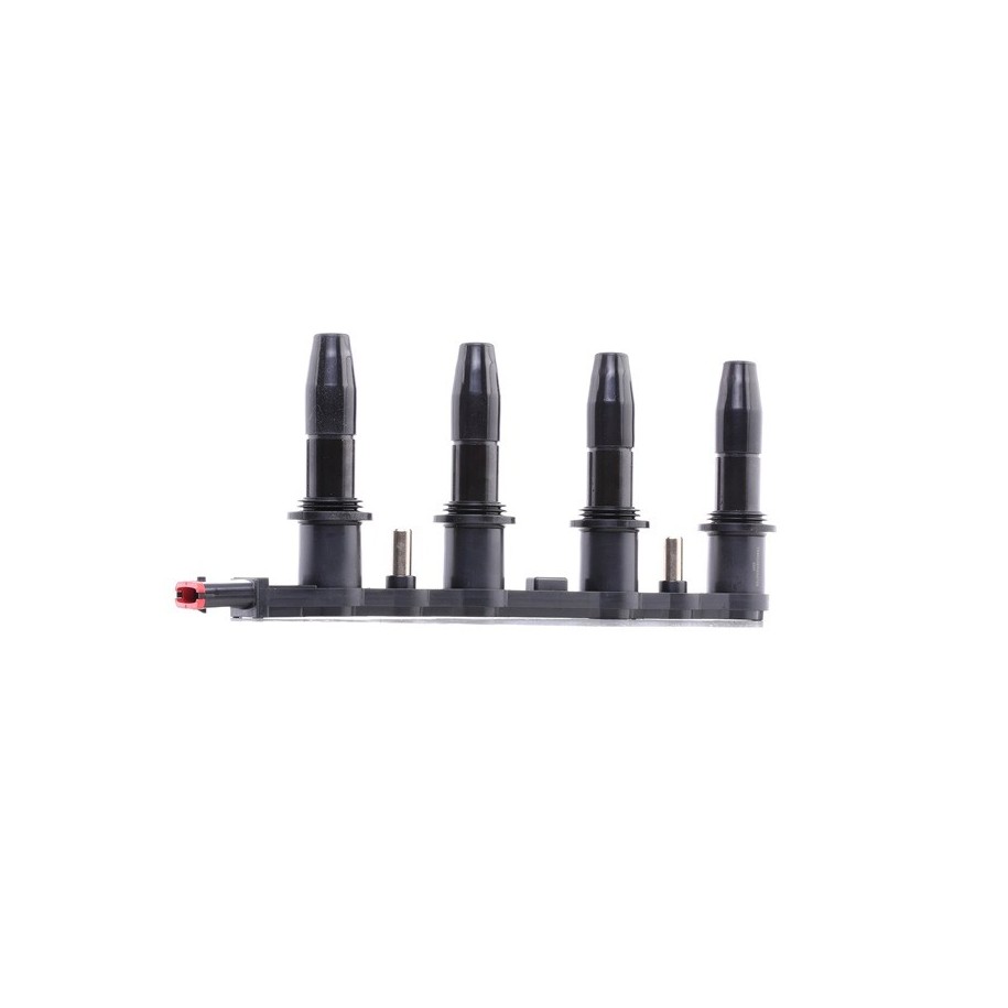 Ignition Coil - RIDEX 689C0027
