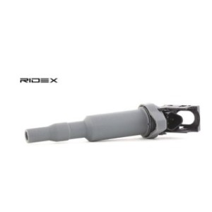 Ignition Coil - RIDEX 689C0029