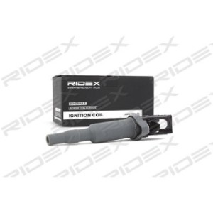 Ignition Coil - RIDEX 689C0029
