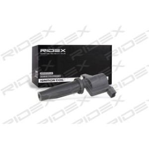Ignition Coil - RIDEX 689C0034