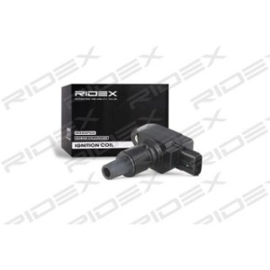 Ignition Coil - RIDEX 689C0035