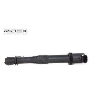 Ignition Coil - RIDEX 689C0036