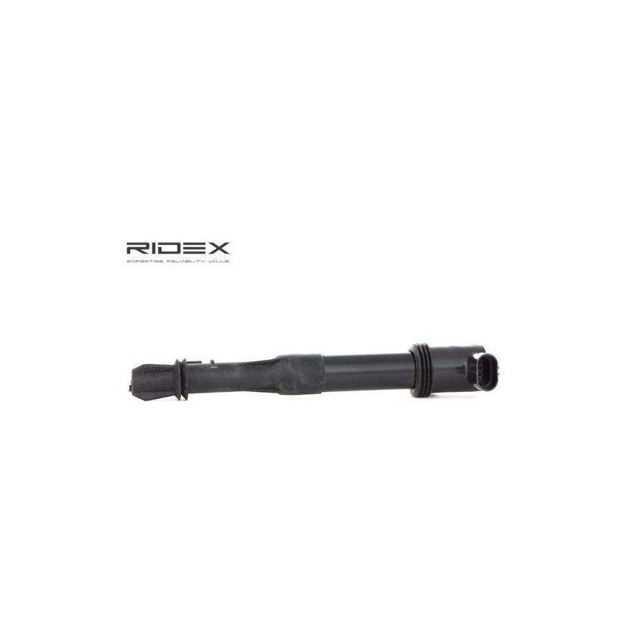 Ignition Coil - RIDEX 689C0036