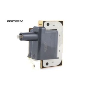 Ignition Coil - RIDEX 689C0038