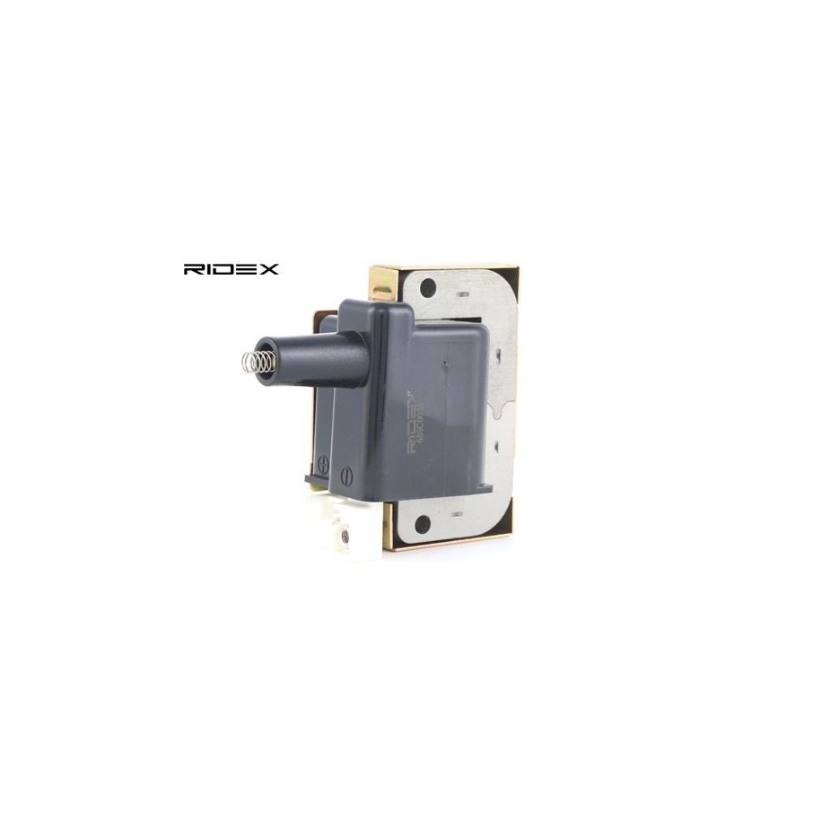 Ignition Coil - RIDEX 689C0038