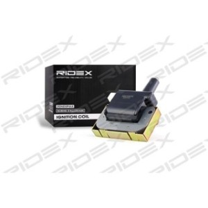 Ignition Coil - RIDEX 689C0038