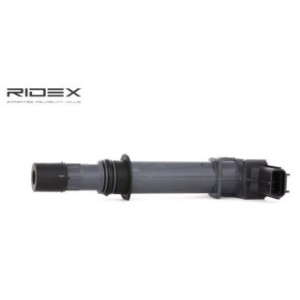 Ignition Coil - RIDEX 689C0047