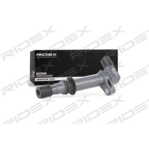 Ignition Coil - RIDEX 689C0047