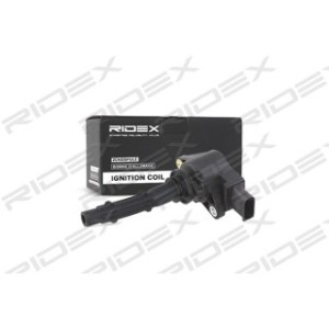 Ignition Coil - RIDEX 689C0048