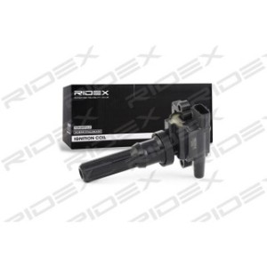Ignition Coil - RIDEX 689C0049