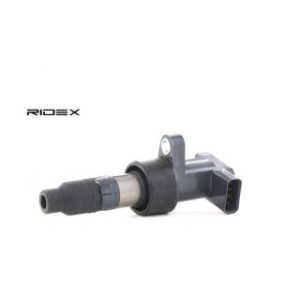Ignition Coil - RIDEX 689C0055