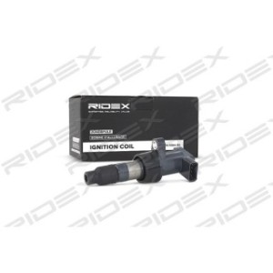 Ignition Coil - RIDEX 689C0055