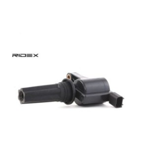 Ignition Coil - RIDEX 689C0056