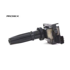Ignition Coil - RIDEX 689C0058