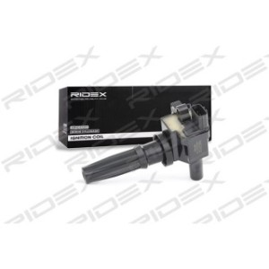 Ignition Coil - RIDEX 689C0058