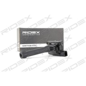 Ignition Coil - RIDEX 689C0060