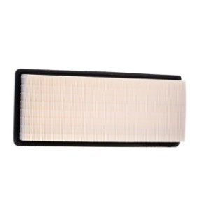 Air Filter - RIDEX 8A0313