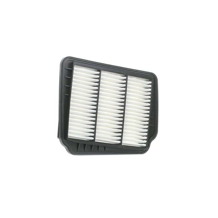Air Filter - RIDEX 8A0204
