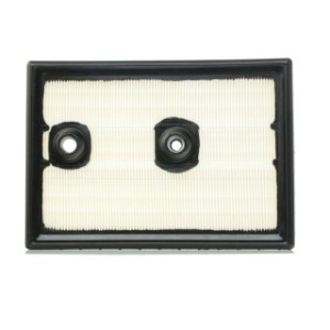 Air Filter - RIDEX 8A0321