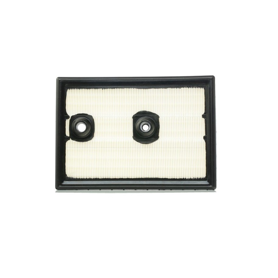 Air Filter - RIDEX 8A0321