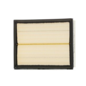 Air Filter - RIDEX 8A0189