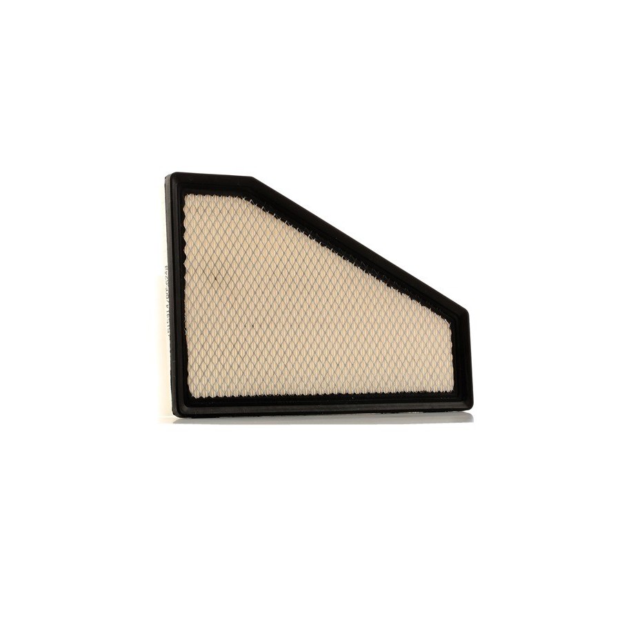 Air Filter - RIDEX 8A0290