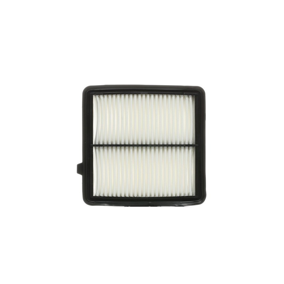 Air Filter - RIDEX 8A0289