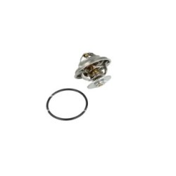 Coolant Thermostat NRF 725067 for FORD EXPLORER, MUSTANG OE 0042038675