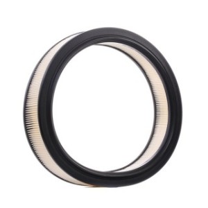 Air Filter - RIDEX 8A0303