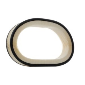 Air Filter - RIDEX 8A0330