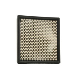 Air Filter - RIDEX 8A0209