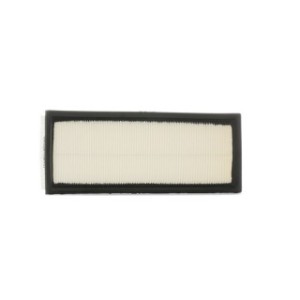 Air Filter - RIDEX 8A0453