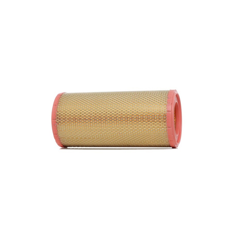 Air Filter - RIDEX 8A0424