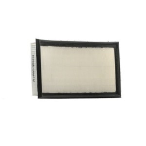 Air Filter - RIDEX 8A0436