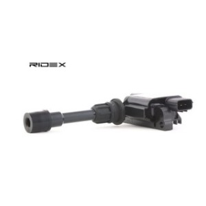 Ignition Coil - RIDEX 689C0080