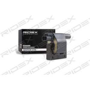Ignition Coil - RIDEX 689C0081
